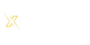 Mr Customs X